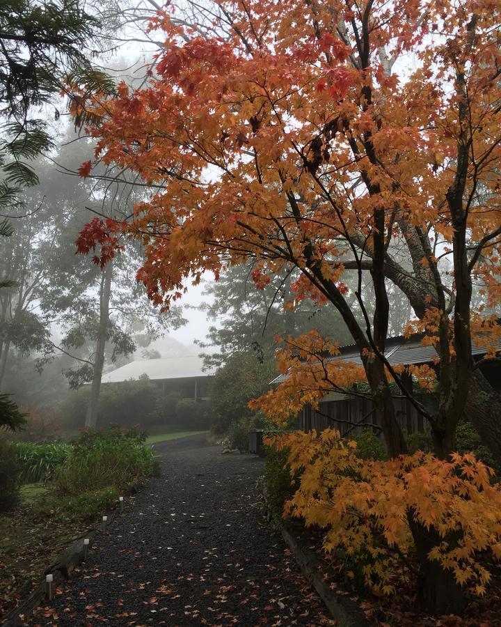 Brigadoon Cottages Haunted Hills ภายนอก รูปภาพ