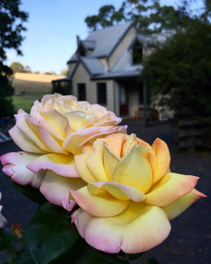 Brigadoon Cottages Haunted Hills ภายนอก รูปภาพ